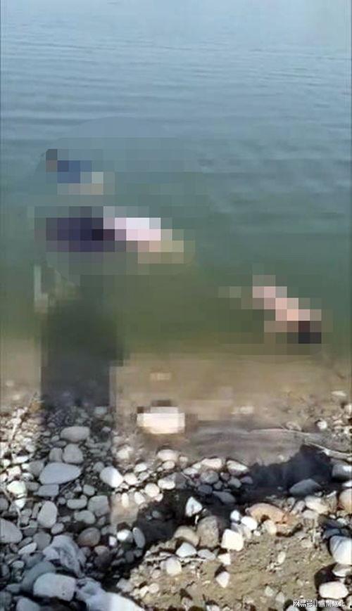 多人爆料溺亡事件视频,溺亡事件视频引发社会关注  第3张