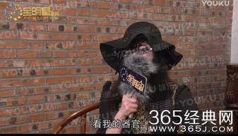 赵四最新爆料视频  第2张